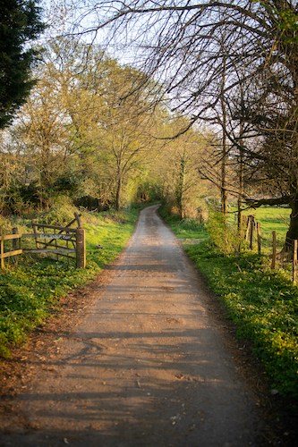ben collins cgdkv4ba6gq unsplash Couples Therapy in Petersfield, Hampshire